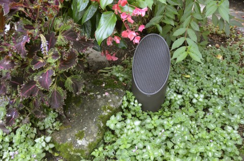 AUDIOV_JuneBlog2_OutdoorEntertainment_GuaynaboPR_photo